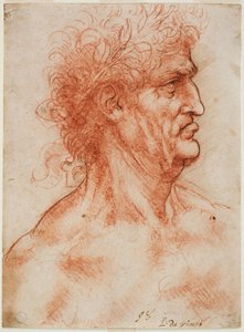 Cabeza viril de perfil coronada con laurel, c. 1506-10 de Leonardo da Vinci